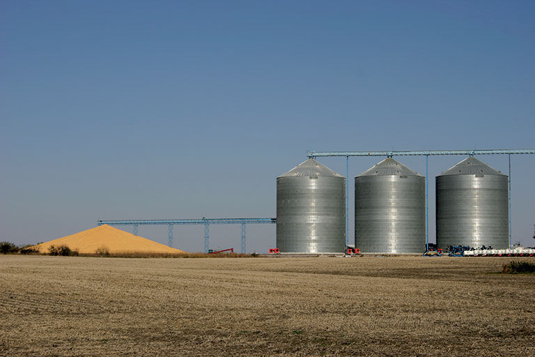 Grain Co-op