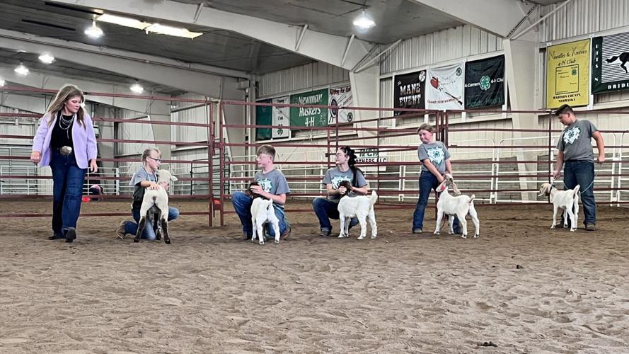 Madison County 4-H 1.JPG