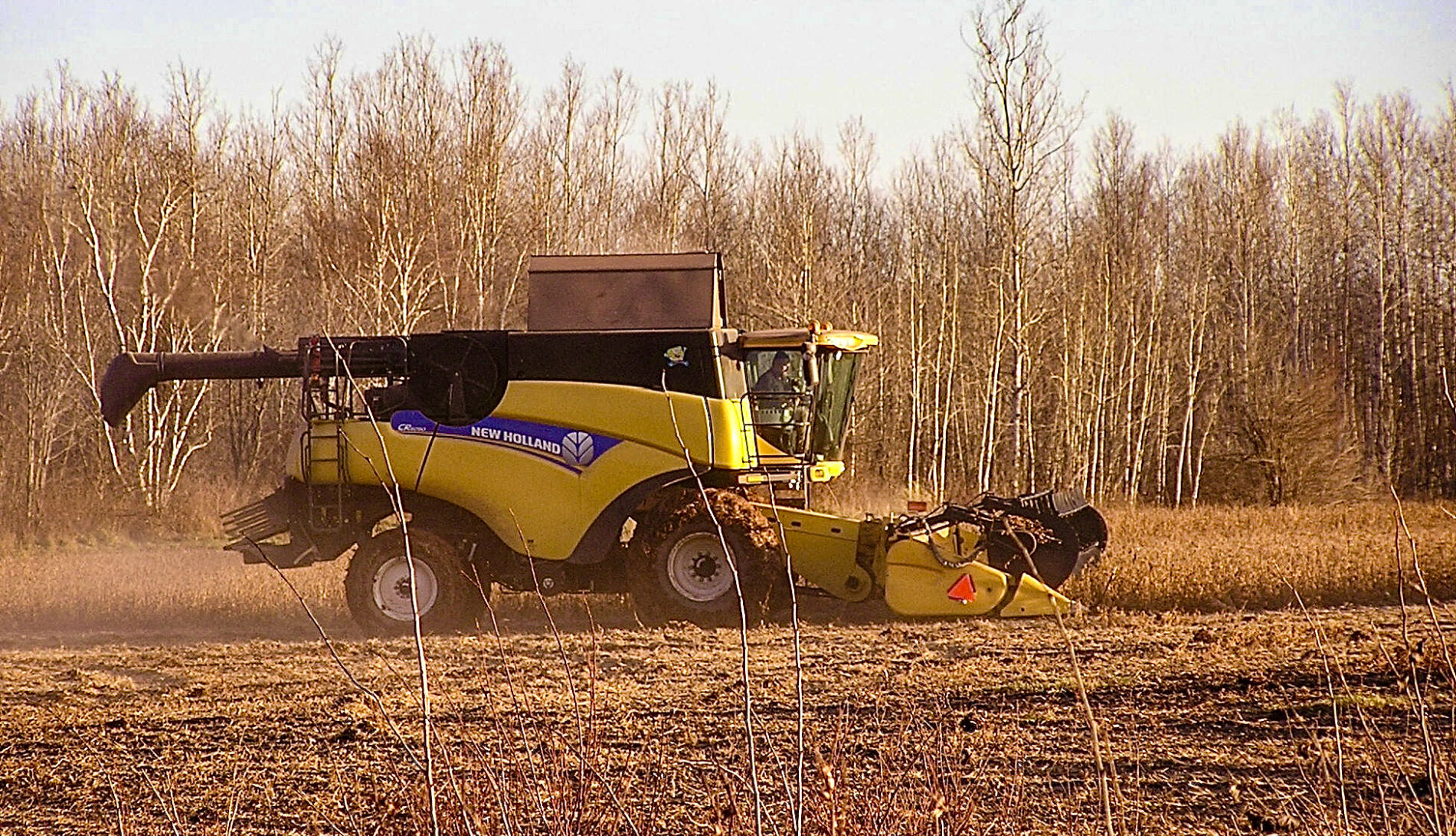 Combine in field