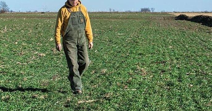 Despite benefits, many Iowa farmers still don't plant cover crops
