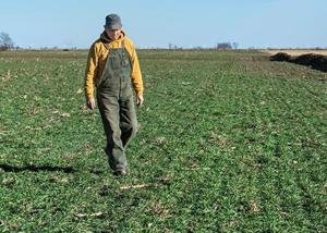 Despite benefits, many Iowa farmers still don't plant cover crops