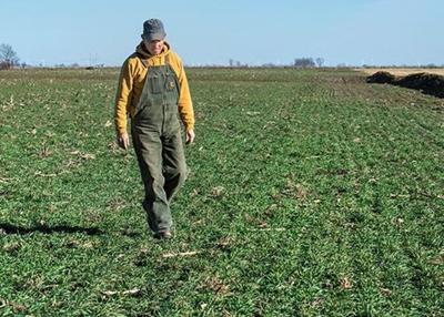 Cover crops
