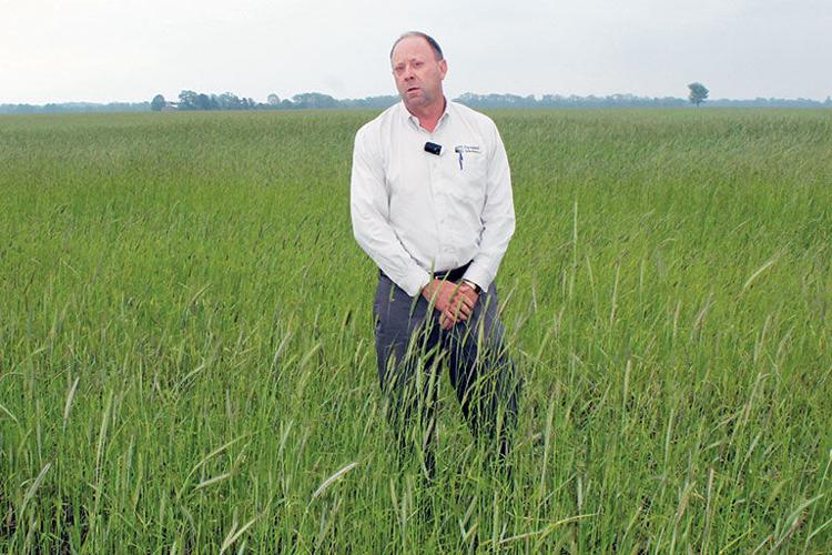 Rob Woodrow organic transition May 20 pc