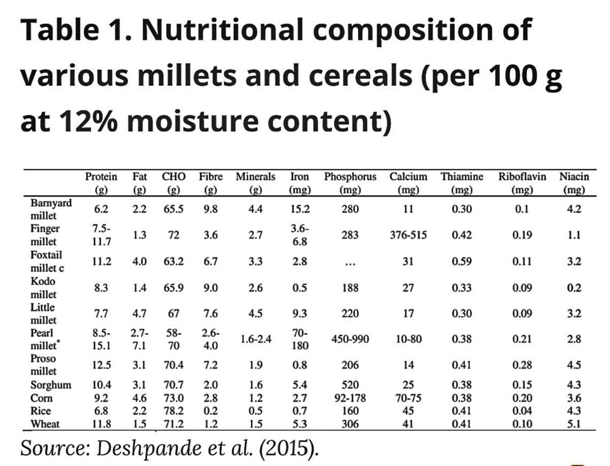 Sorghum nutrition