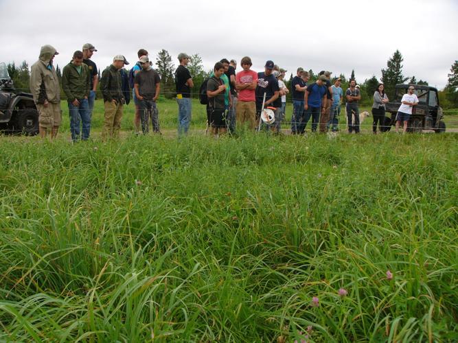 Students inspect pasture