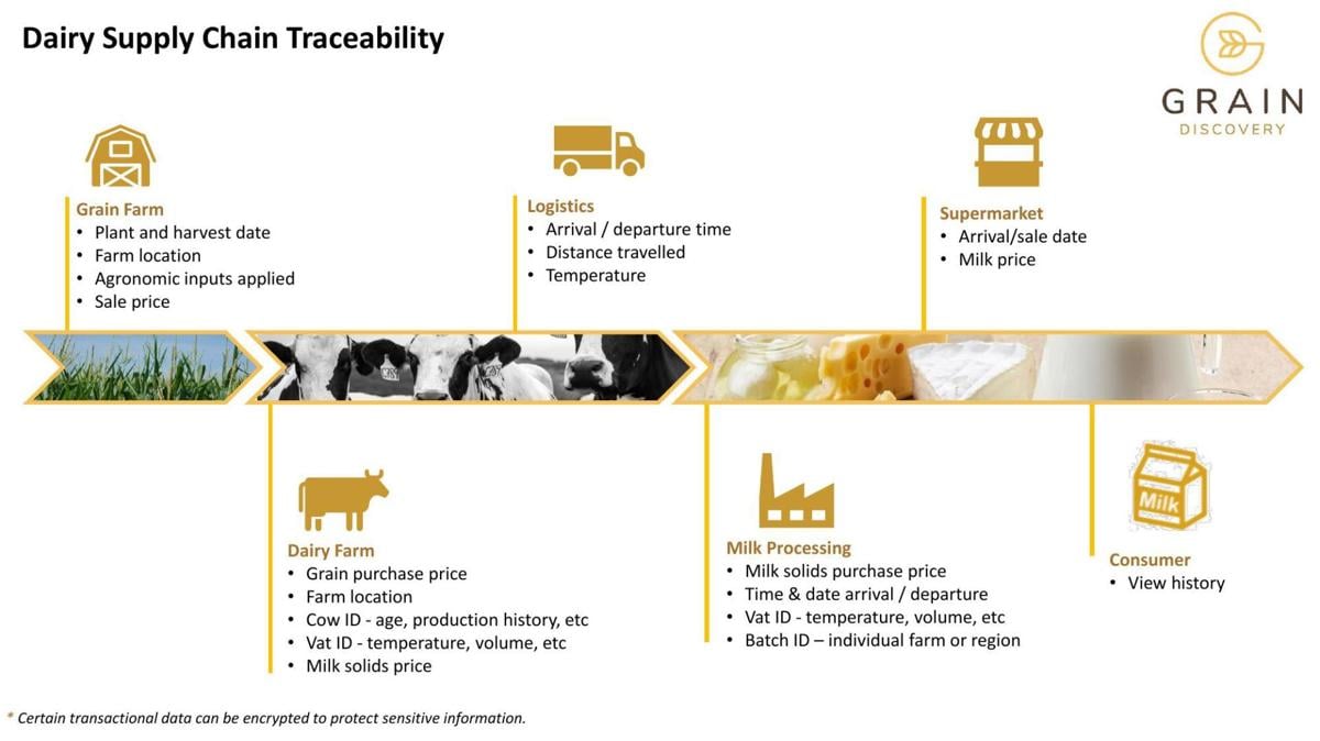 Supply chain of milk with Grain Discovery