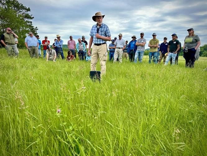 Workshop on pasture