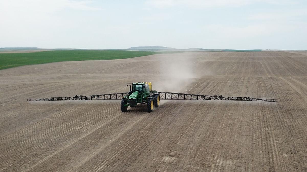 Johnsons battle cold weather, wind in early May