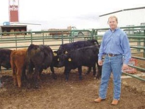 Guidelines for producing organic beef