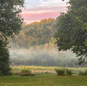 Farm morning