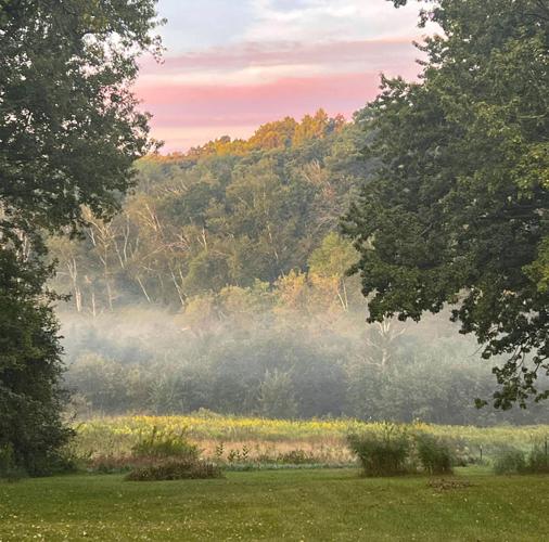 Farm morning