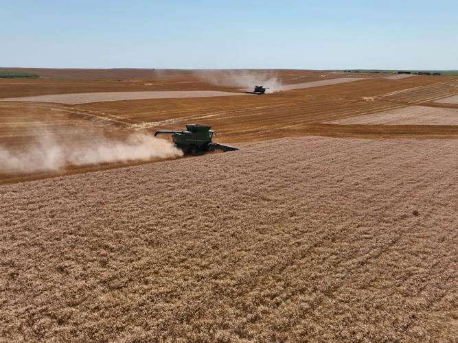 CW Holzwarth (1).JPG