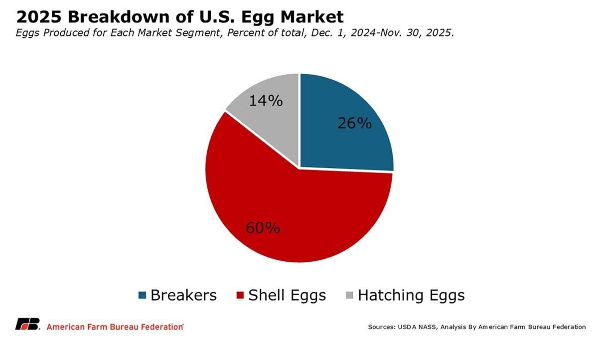 Egg market