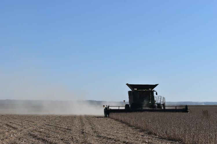 Harvest Wrap Up (27).JPG