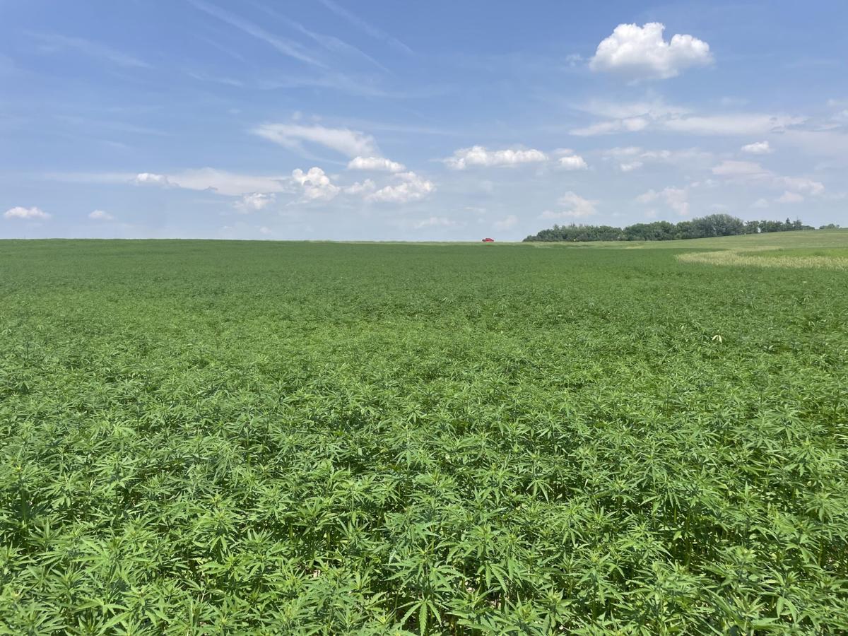 CW Burggraff (2).jpg