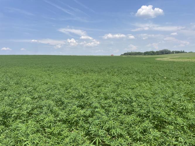 CW Burggraff (2).jpg