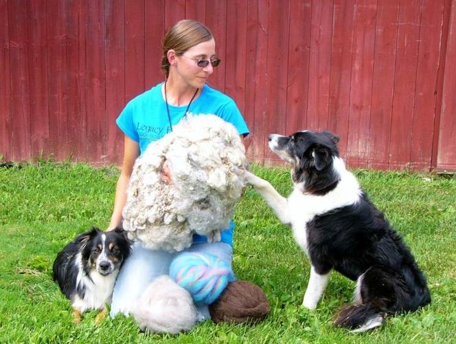 Samantha Jones, dogs and fleece