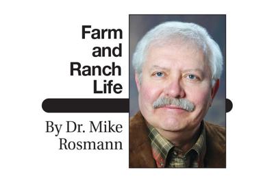 罗斯曼农场和牧场生活