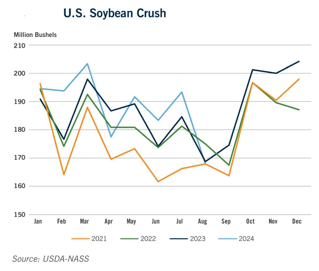 Soybean crush