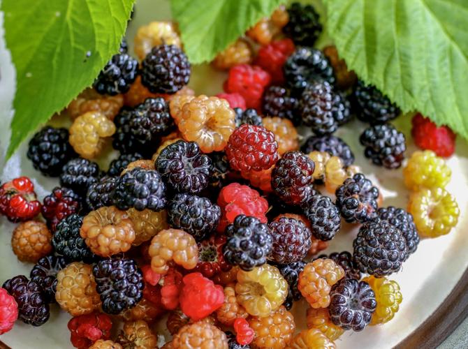 Raspberries