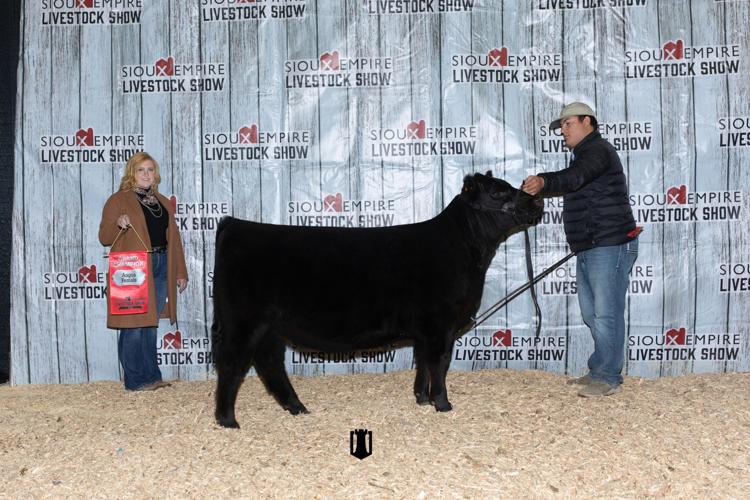 Grand Champion Angus Female.jpg