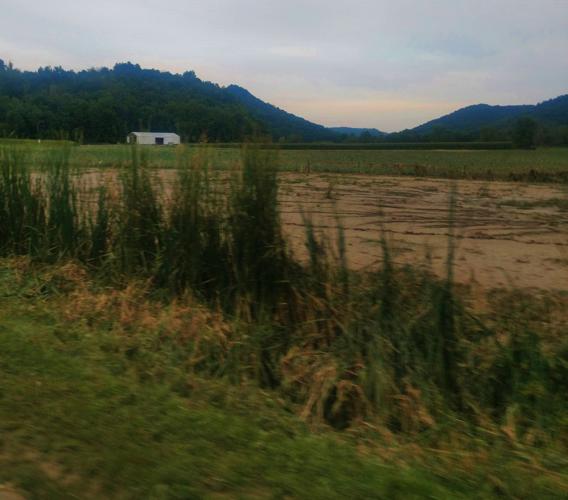 Farms damaged