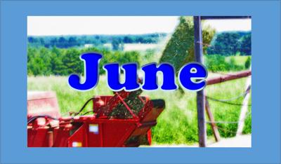 June calendar image graphic