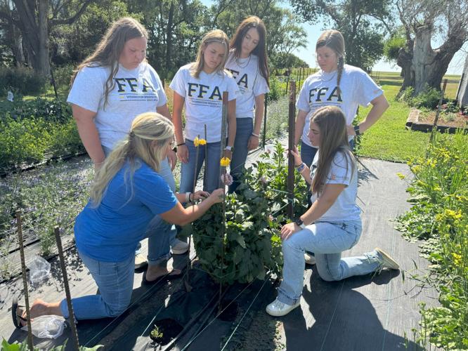 FFA Floriculture 2 - Copy - Copy.jpg