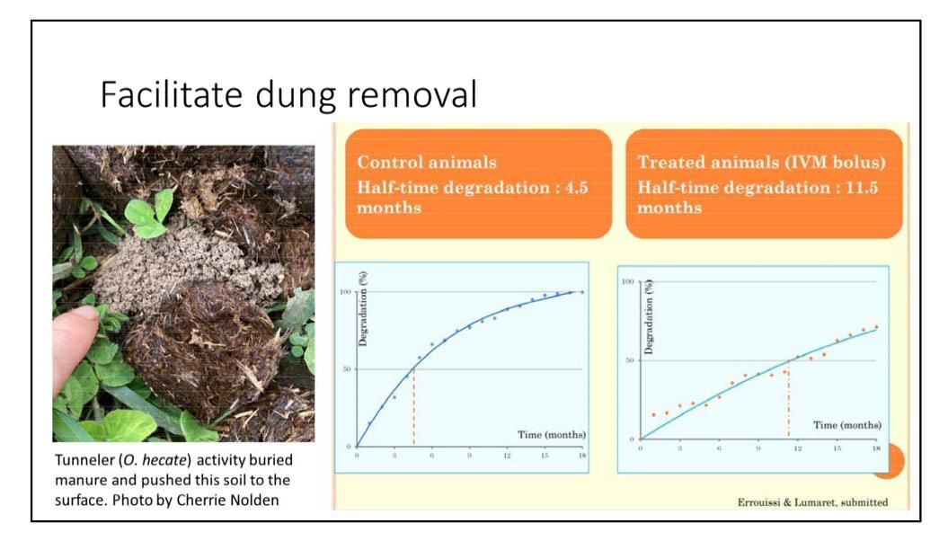 Facilitate dung removal