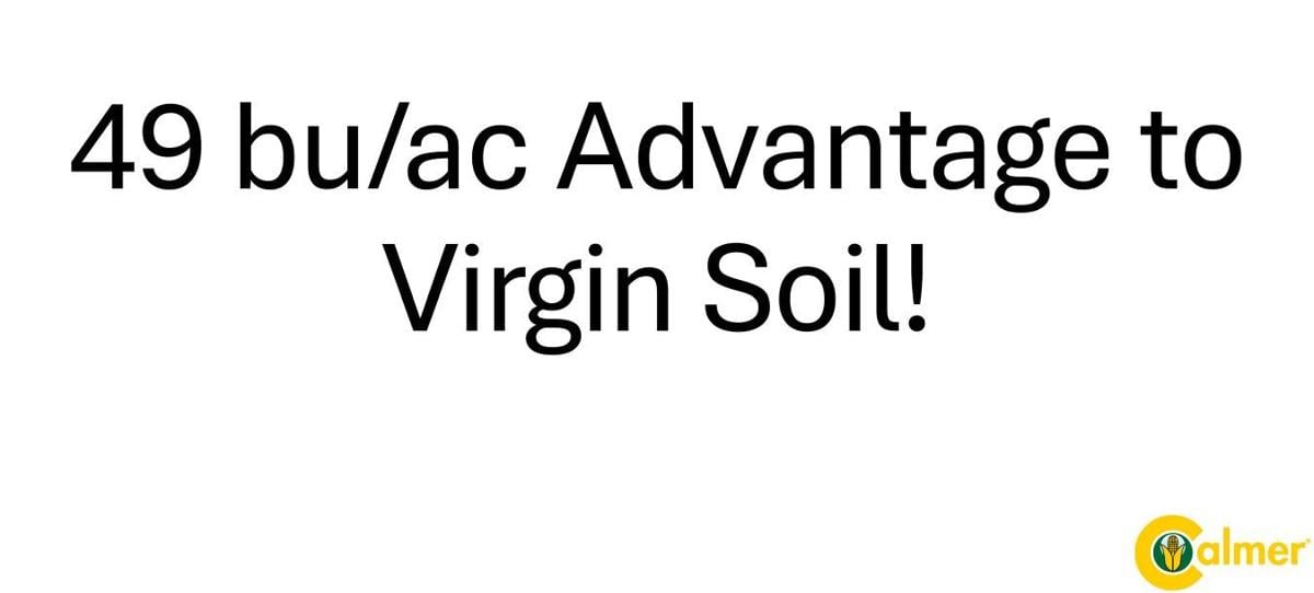 Virgin soil