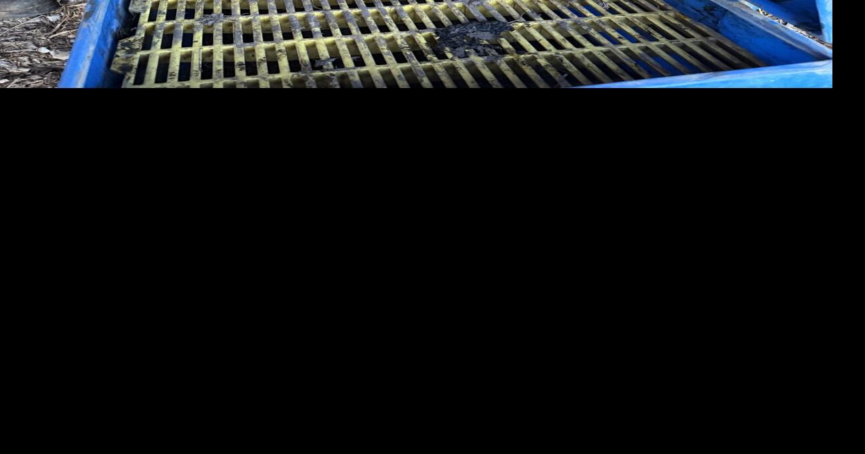 Down on the Farm 1.JPG