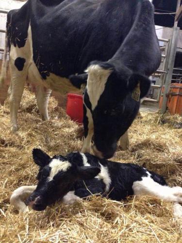 Could I have some privacy please?