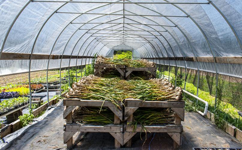 High tunnel