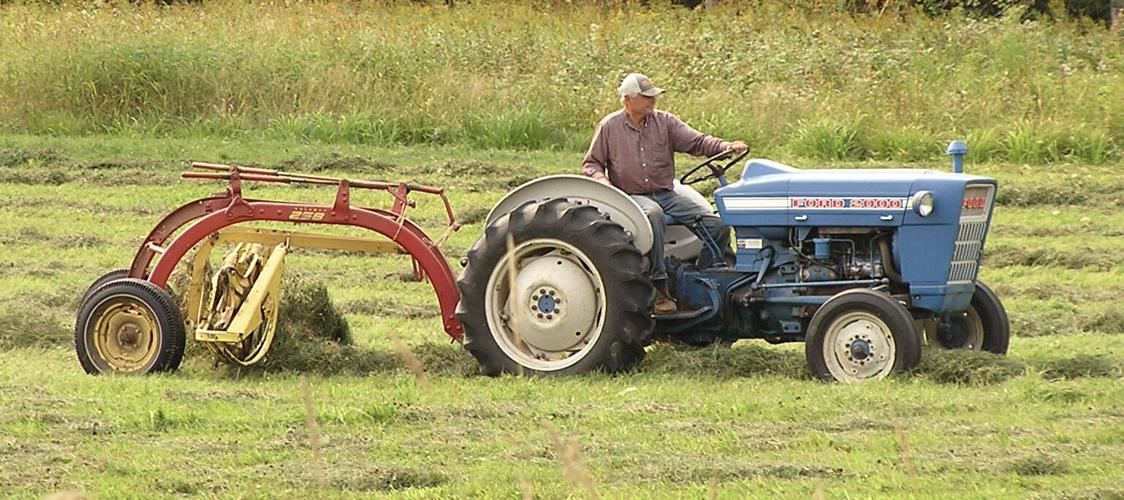 Tractor and rake in field