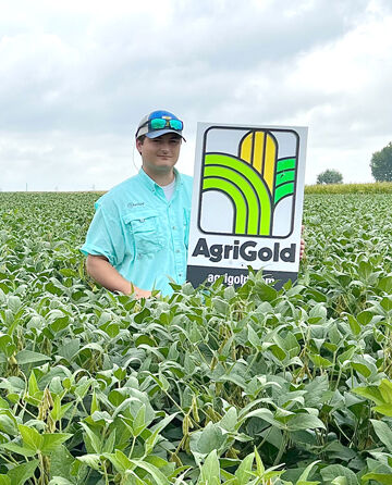AgriGold soybeans