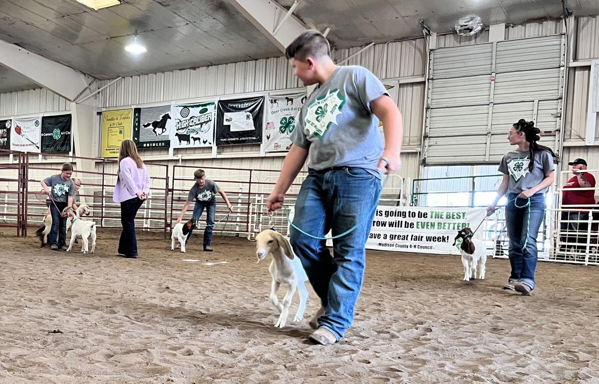 Madison County 4-H 2.JPG