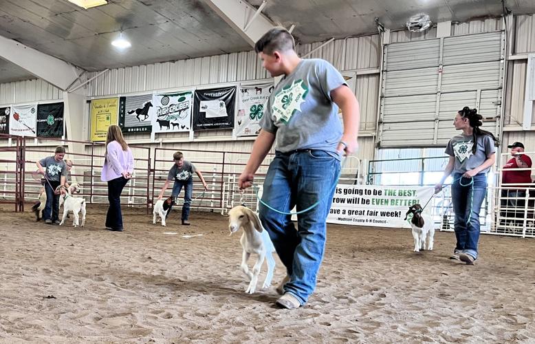 Madison County 4-H 2.JPG