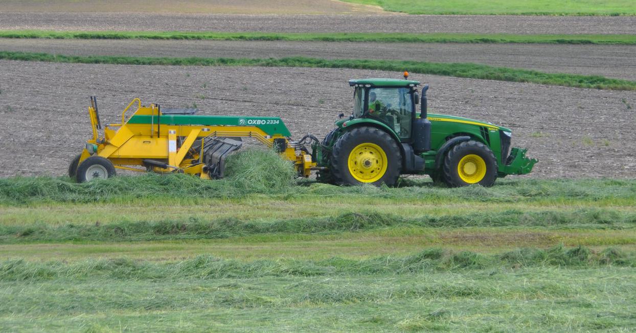 From the Fields: LeeAnne Bulman with Kaleb Ellis - Vimarsana News