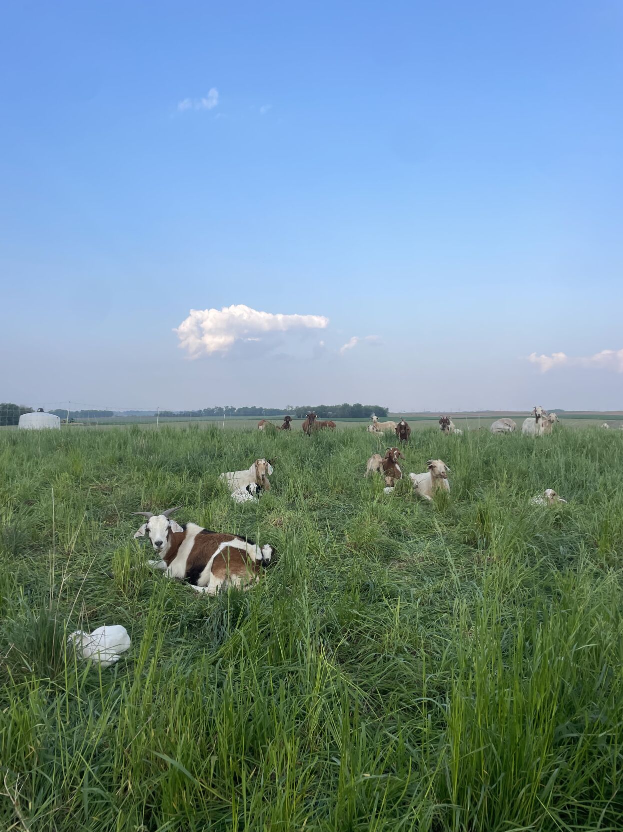 CW Burggraff (2).jpg