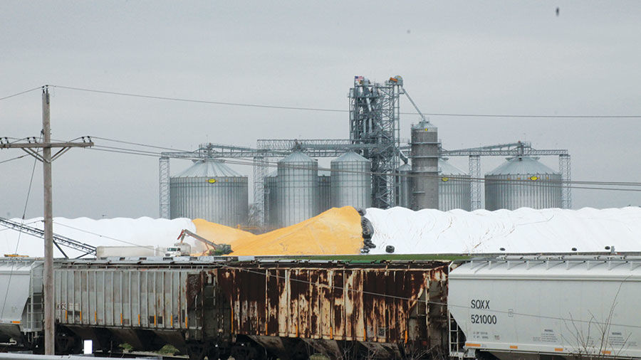 Trucks fill up from grain piles behind a row of rail cars (copy)
