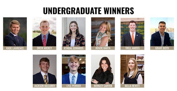 Undergraduate winners