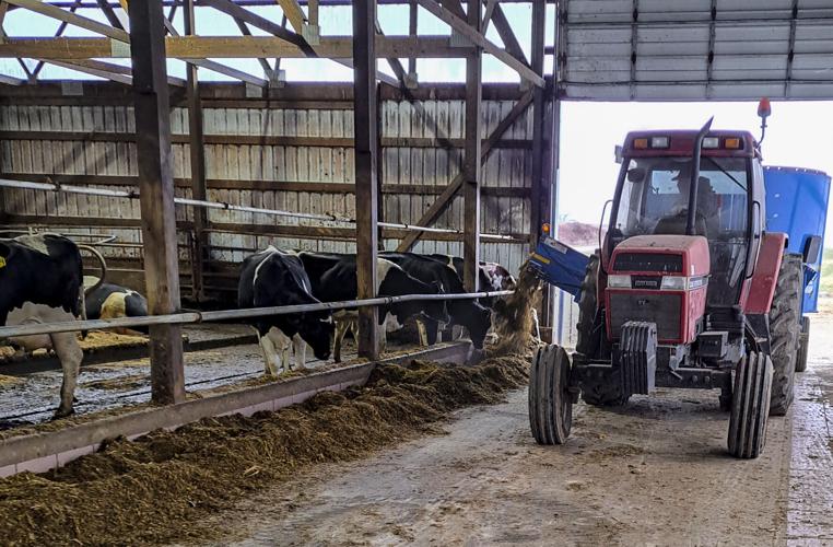 TMR mixer at Wipp Farm