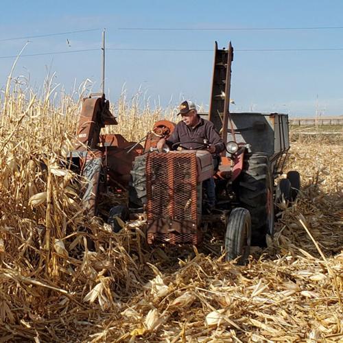 Kansas corn pickers 2