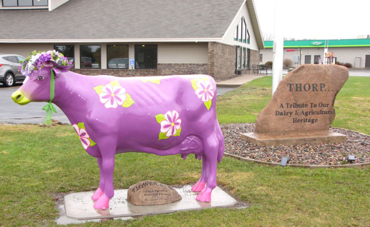 Thorp tourism on the moo-ve with themed cows