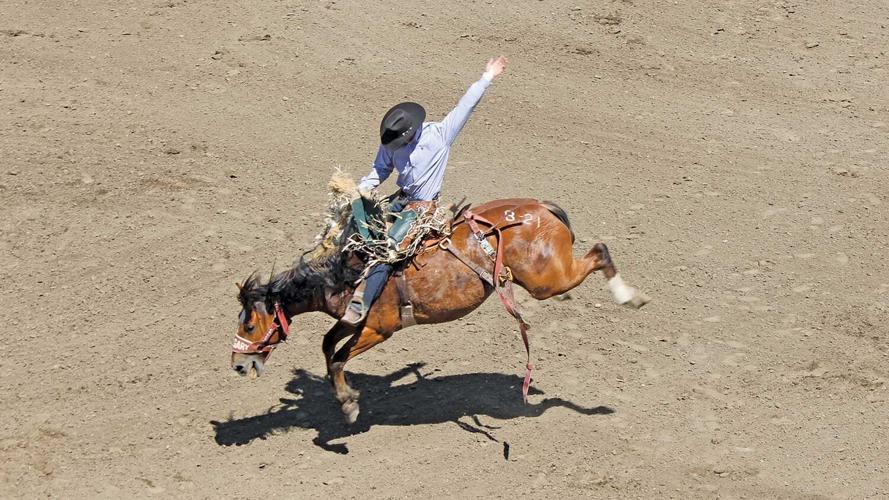 ride-em-cowboy