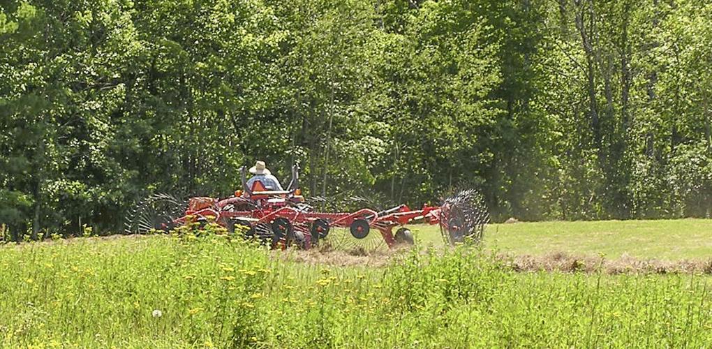 Tractor and rake in field