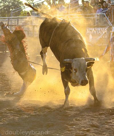 Montana Pro Rodeo Circuit Finals to be held in Kalispell