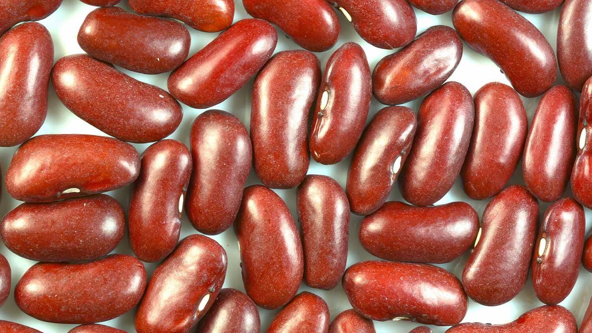 Kidney beans
