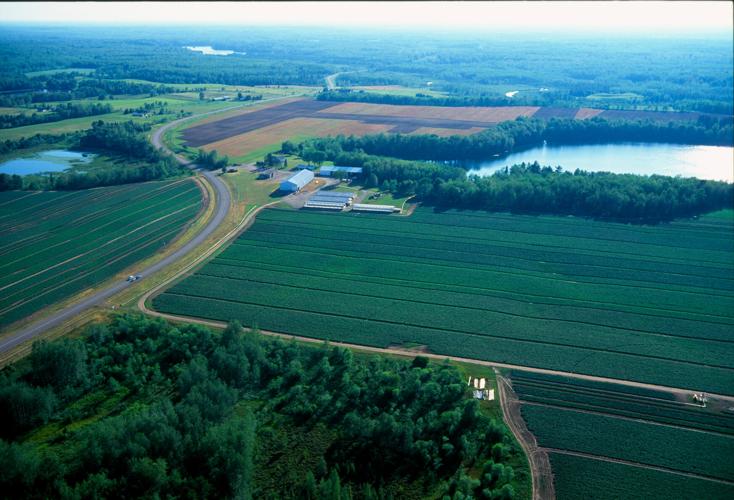 Aerial photo Lelah Starks Farm