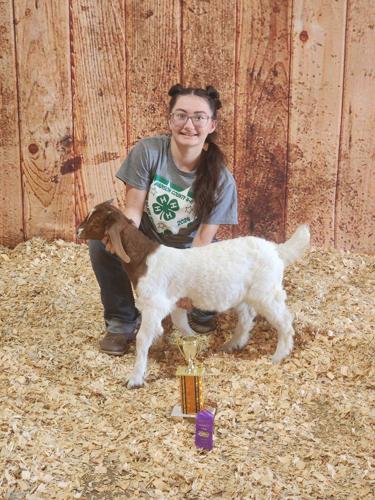 Madison County 4-H 3.jpg